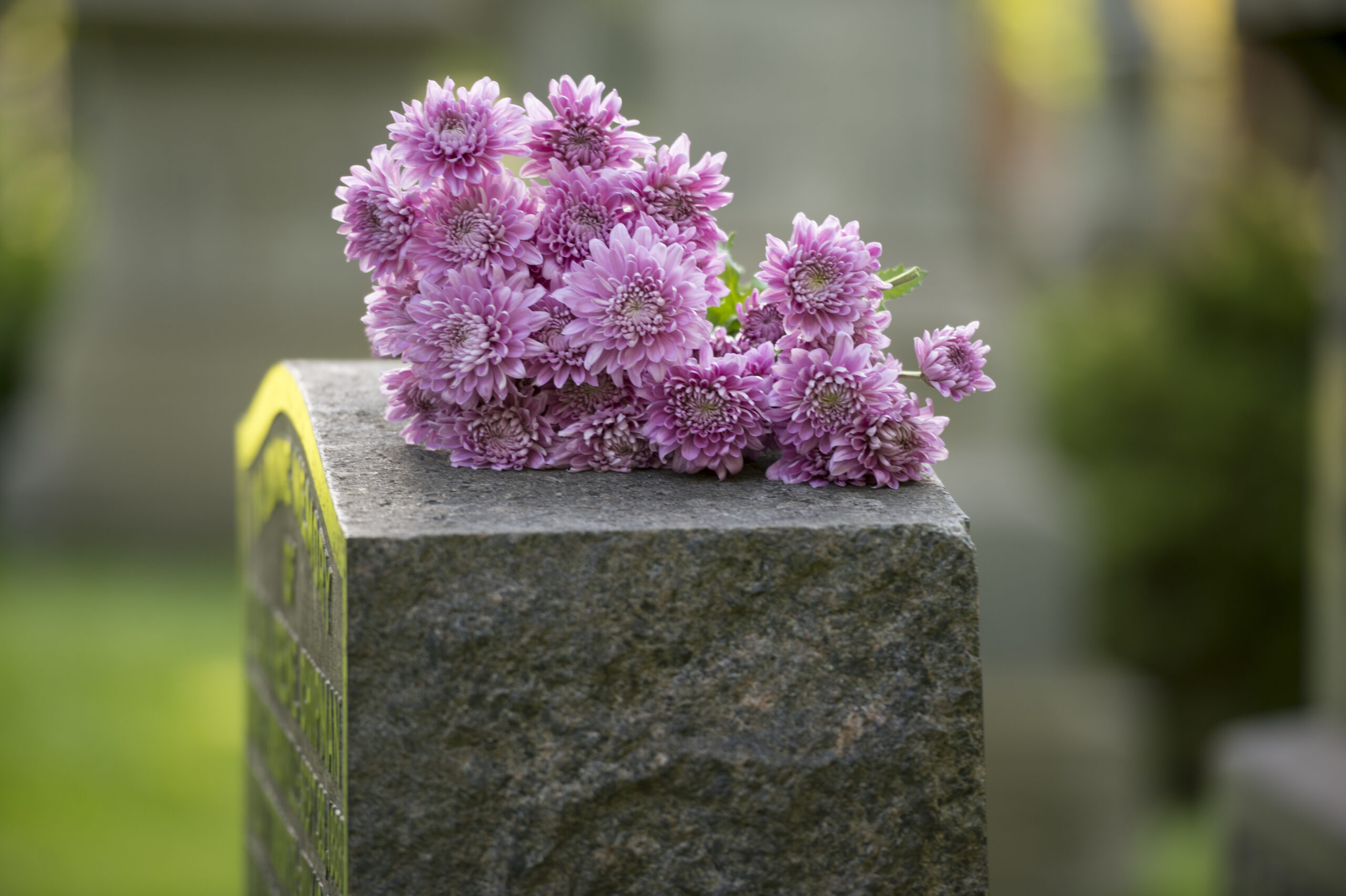 Photo of a grave stone with purple flowers on top
