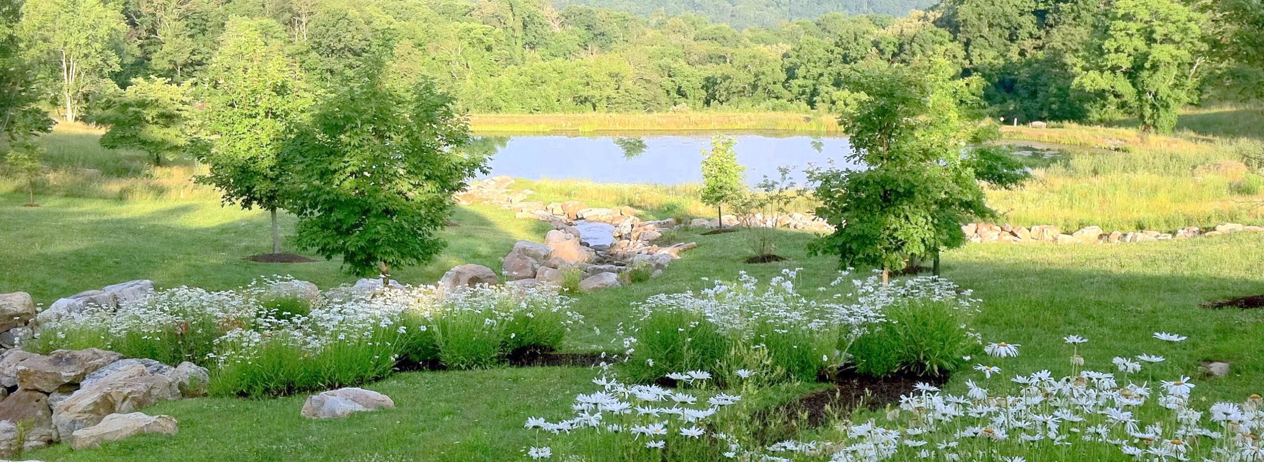 Collin Alexander Chaplin