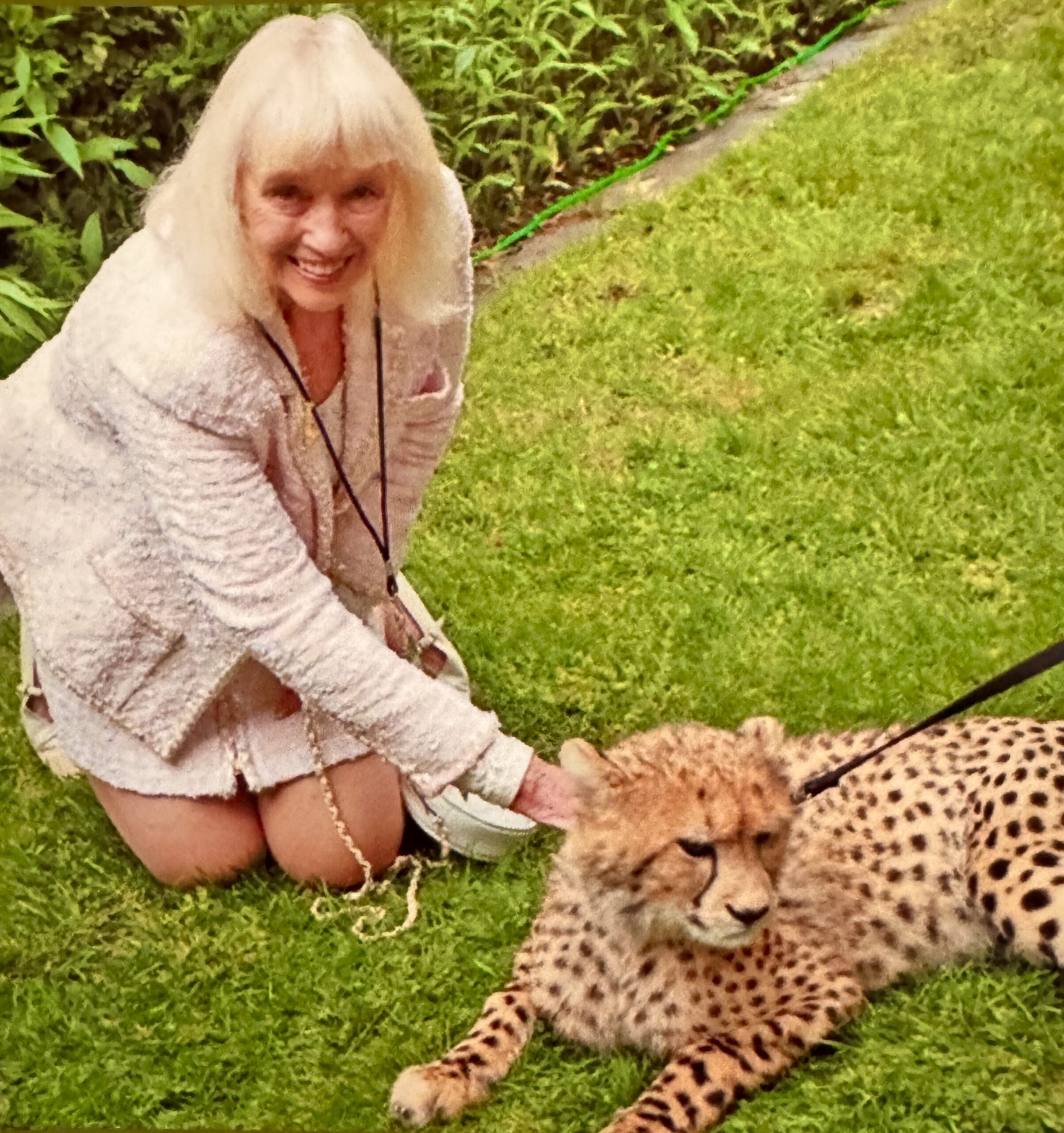 Phebe Delman Cambata